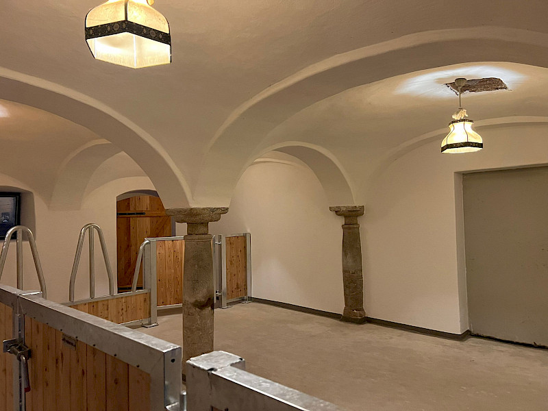 Sanierungs- und Renovierungsarbeiten